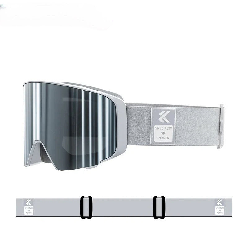 Gråa skidglasögon Alpine Vision Silver med gråa / svarta linser